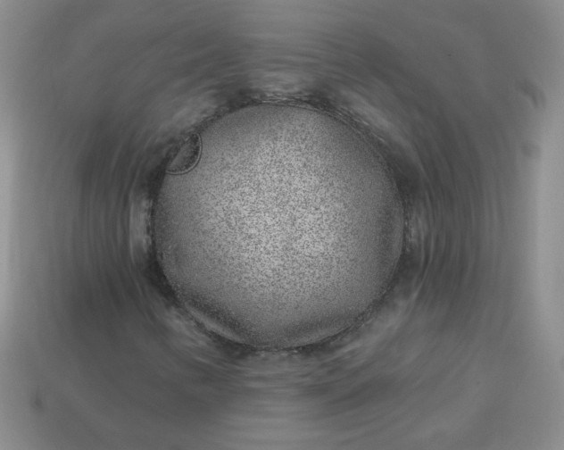 X0000114161346200910221559