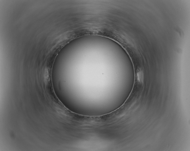 X0000114161347200910221559