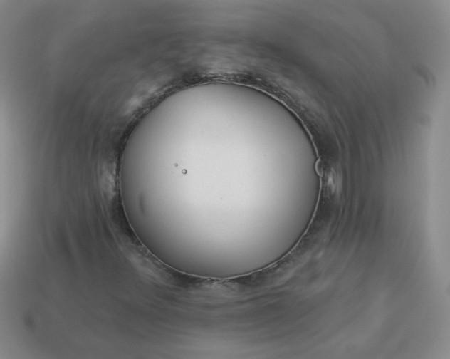 X0000114161348200910221559