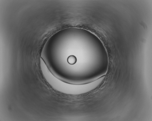 X0000114161349200910221559