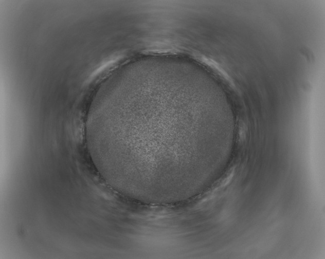 X0000114161350200910221559