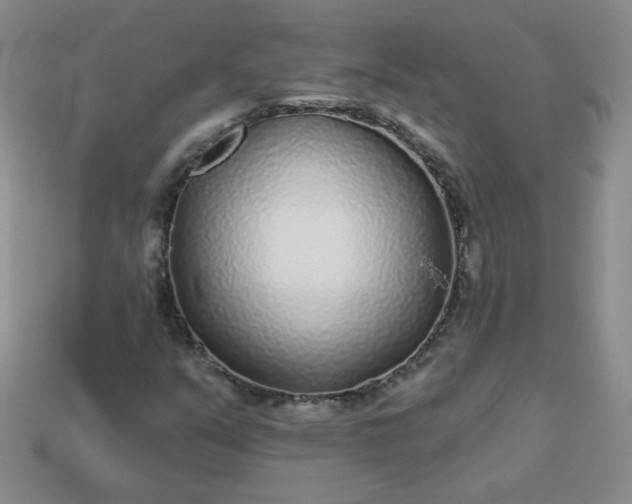 X0000114161351200910221559