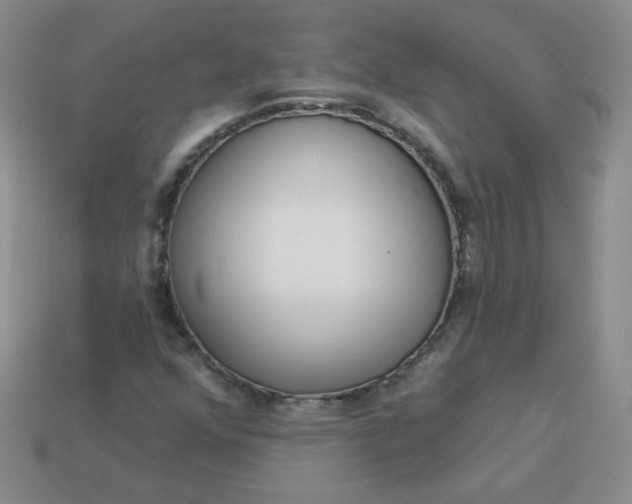 X0000114161352200910221559