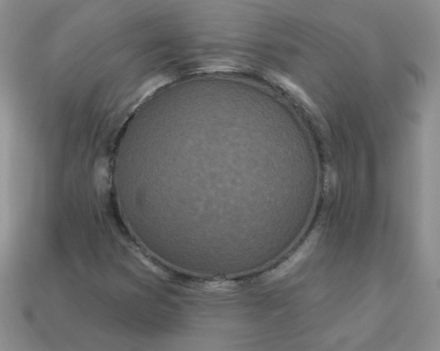 X0000114161353200910221559