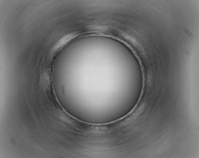 X0000114161354200910221559