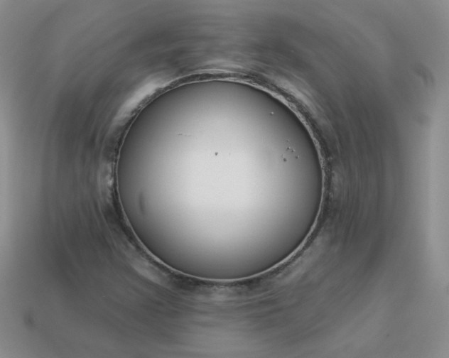 X0000114161355200910221559