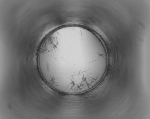 X0000114161356200910221559