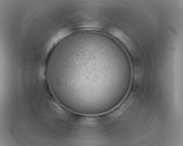 X0000114161357200910221559