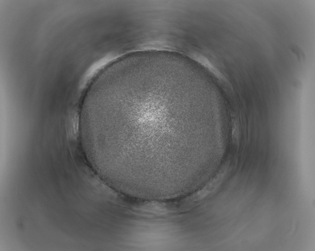 X0000114161358200910221559