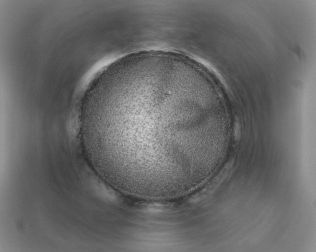 X0000114161359200910221559