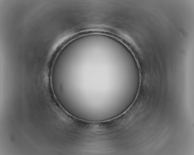 X0000114161360200910221559