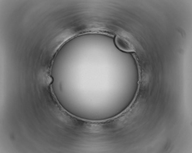 X0000114161361200910221559