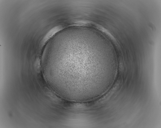 X0000114161362200910221559