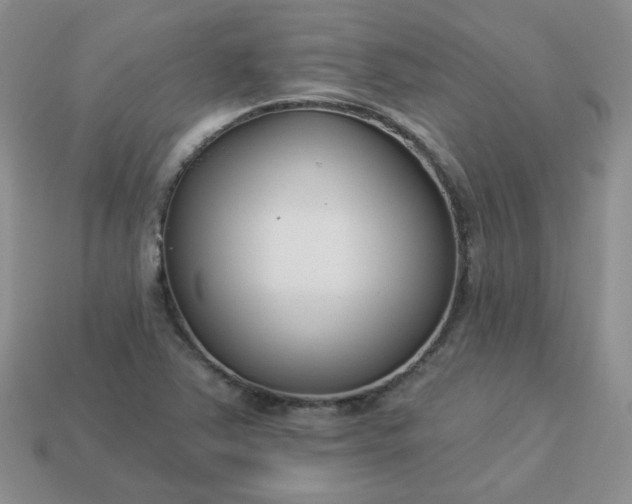 X0000114161363200910221559