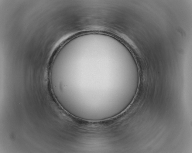 X0000114161364200910221559