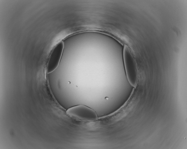 X0000114161365200910221559