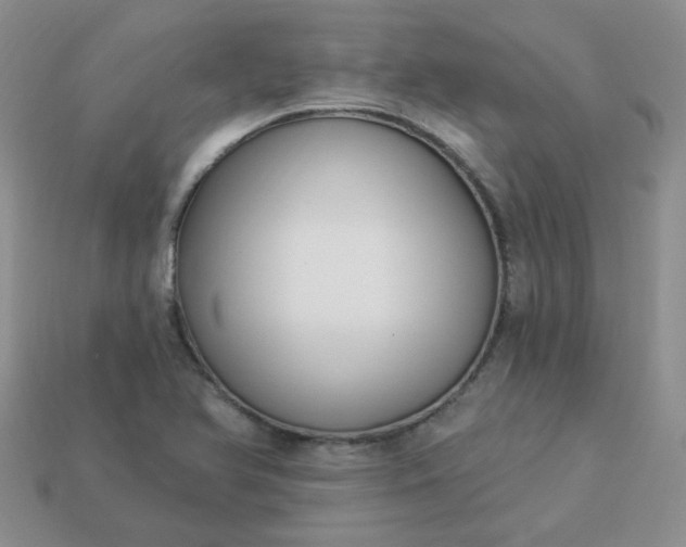 X0000114161366200910221559