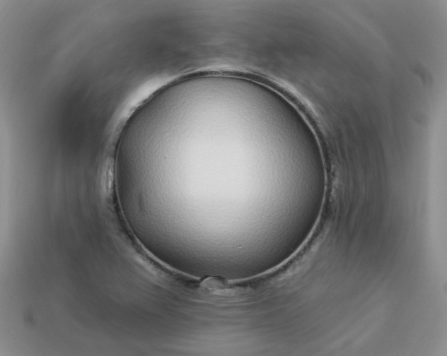 X0000114161367200910221559