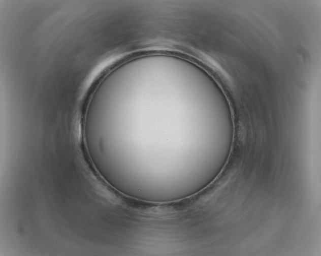 X0000114161368200910221559