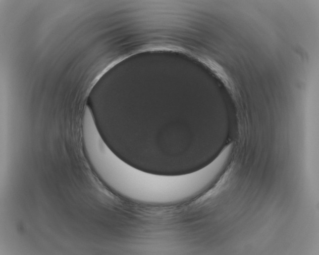 X0000114161369200910221559