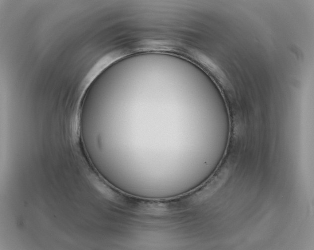 X0000114161370200910221559