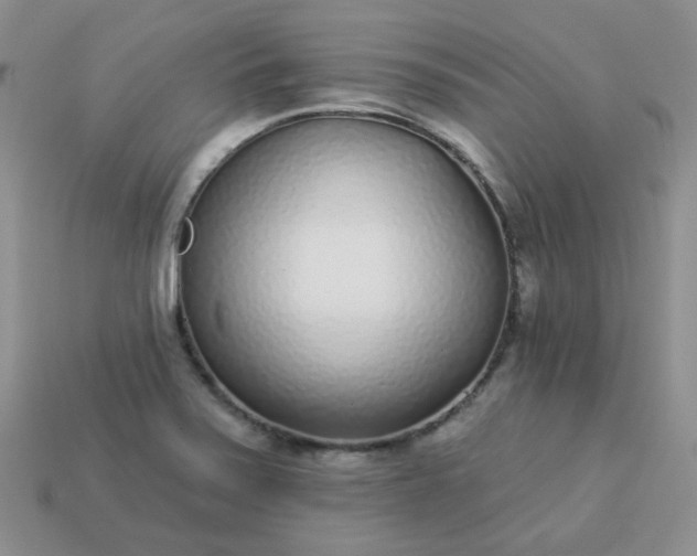 X0000114161371200910221559