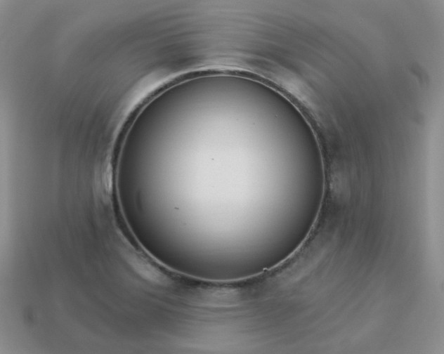 X0000114161372200910221559