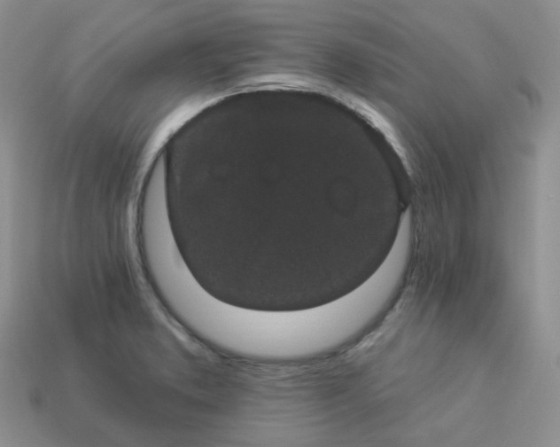 X0000114161373200910221559