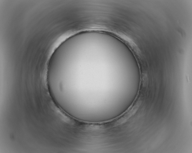 X0000114161374200910221559