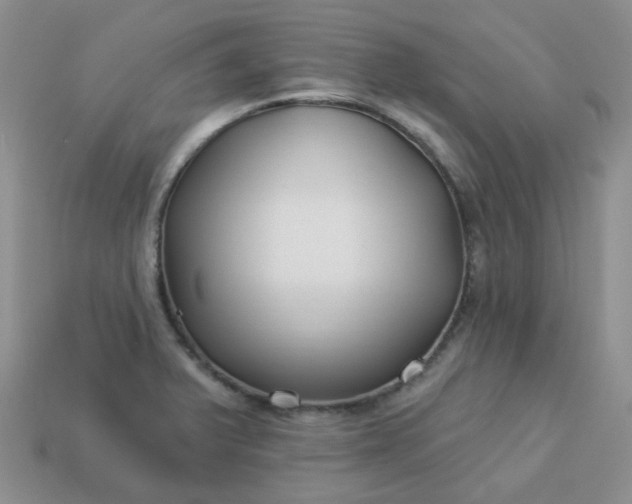 X0000114161375200910221559