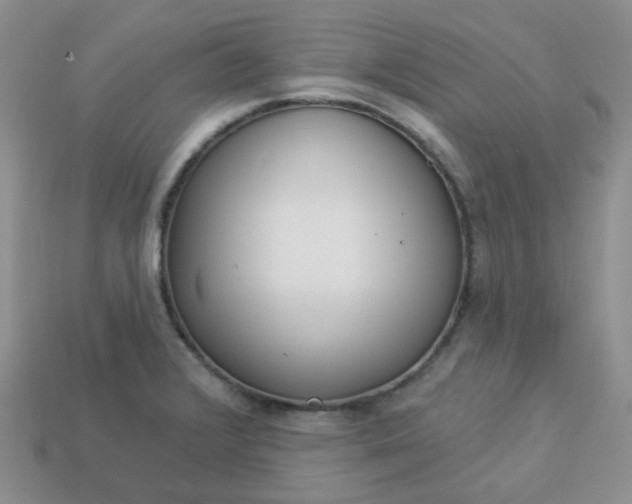 X0000114161376200910221559