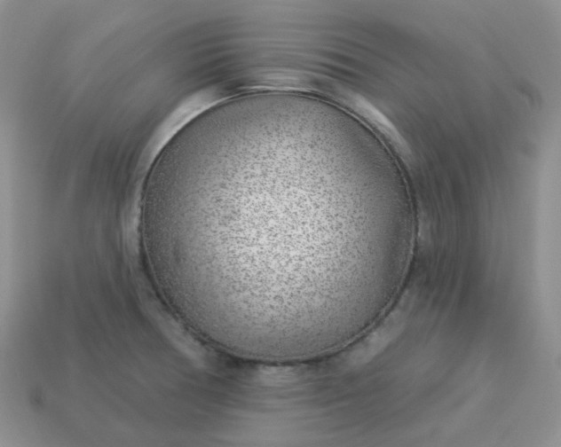 X0000114161378200910221559