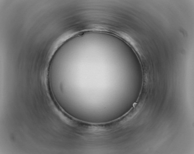 X0000114161379200910221559