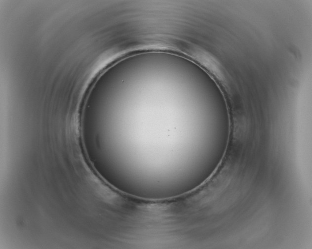 X0000114161380200910221559