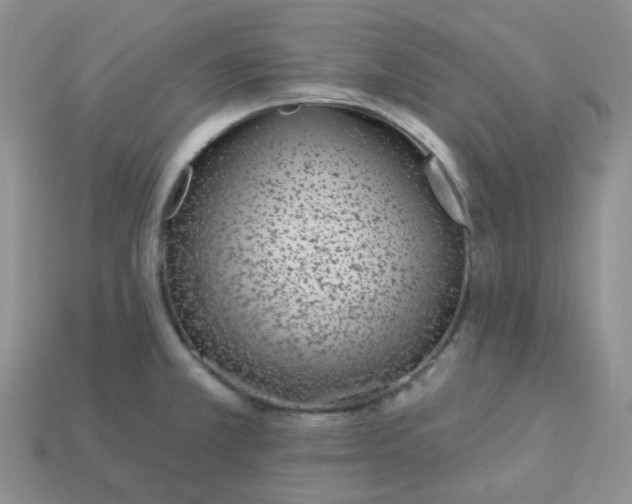 X0000114161381200910221559