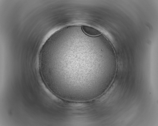 X0000114161382200910221559