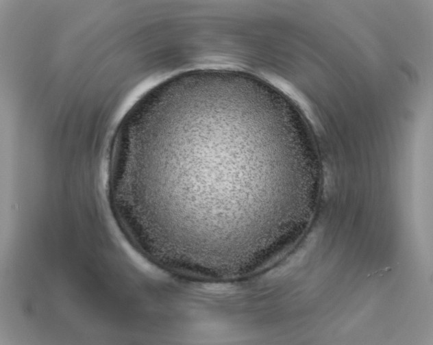 X0000114161383200910221559