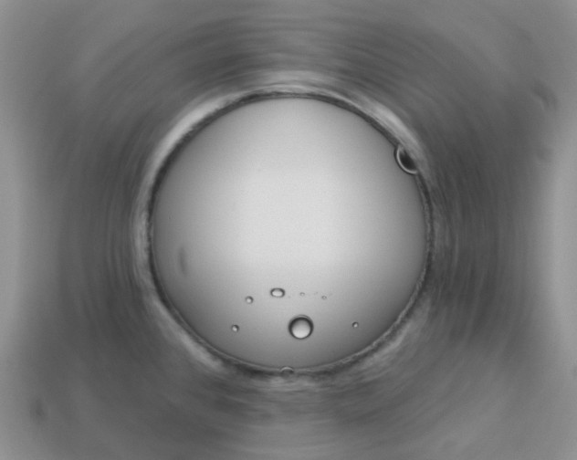 X0000114161384200910221558