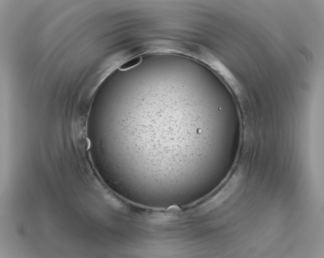 X0000114161385200910221558