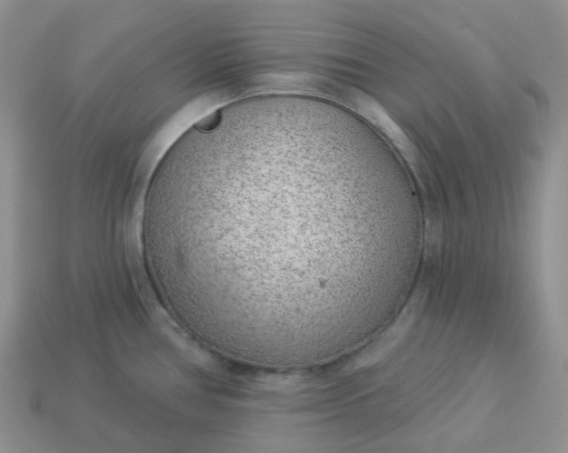 X0000114161386200910221558