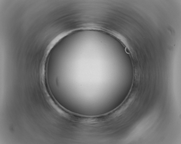 X0000114161387200910221558