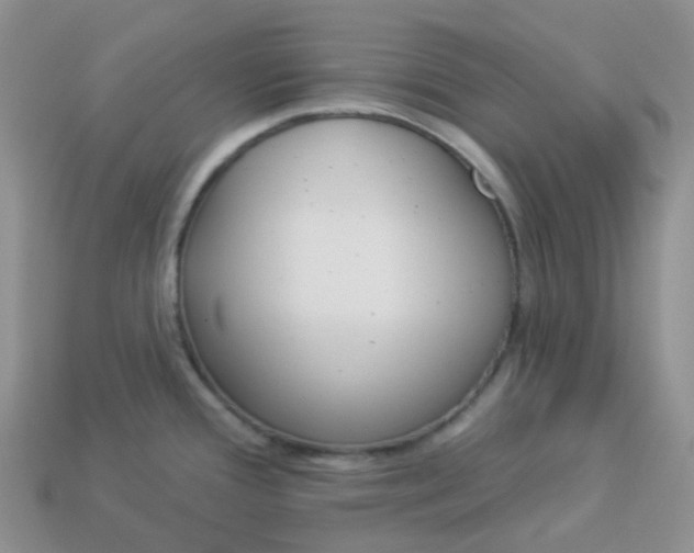 X0000114161388200910221558