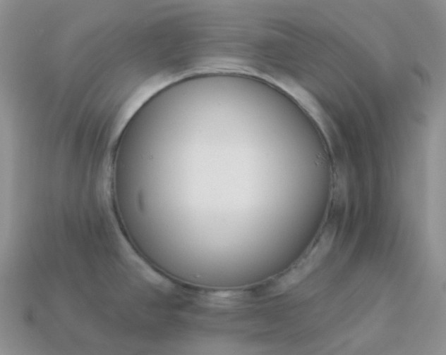 X0000114161390200910221558