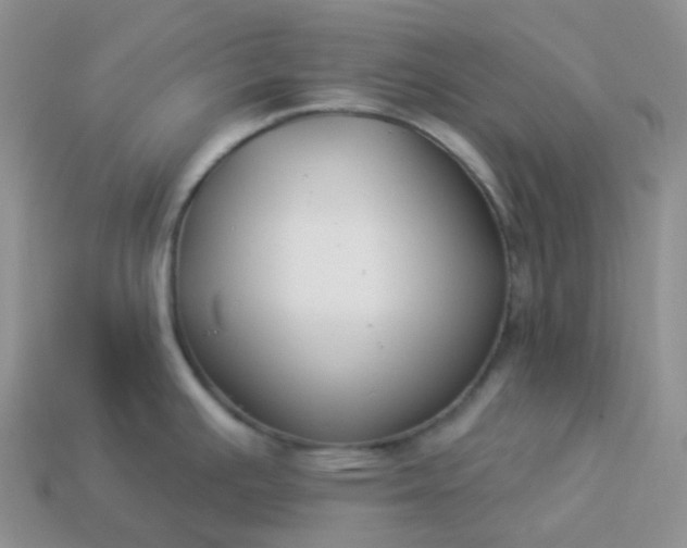 X0000114161391200910221558