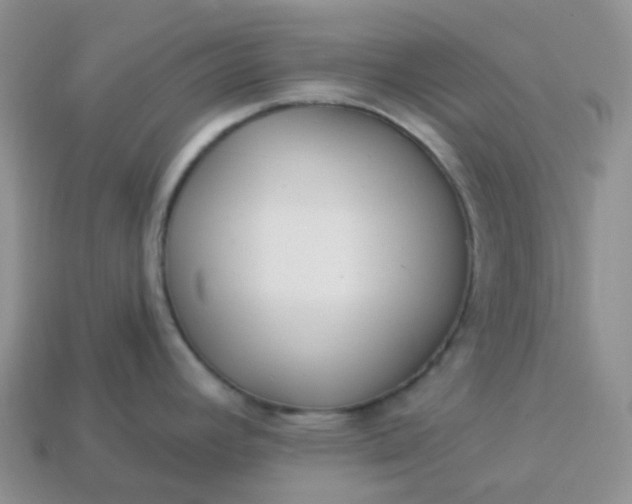 X0000114161392200910221558