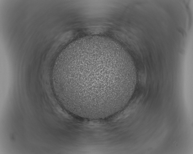 X0000114161393200910221558