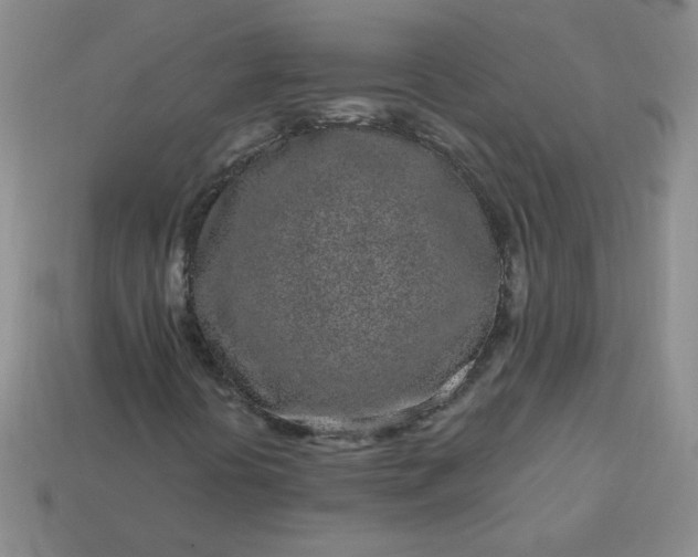 X0000114161394200910221558