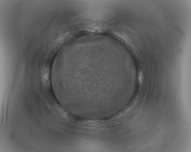 X0000114161396200910221558