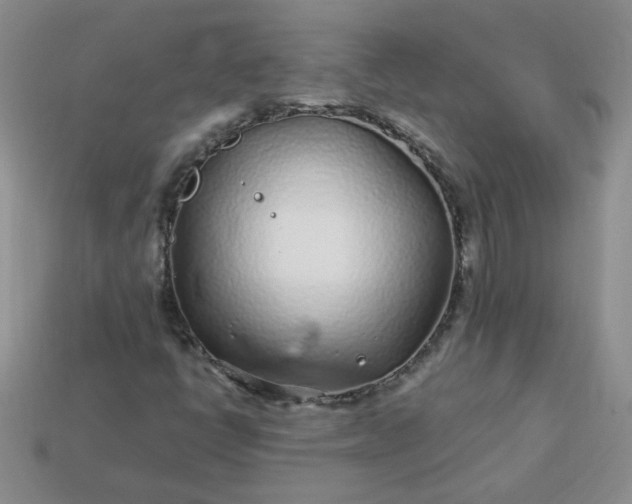 X0000114161398200910221558