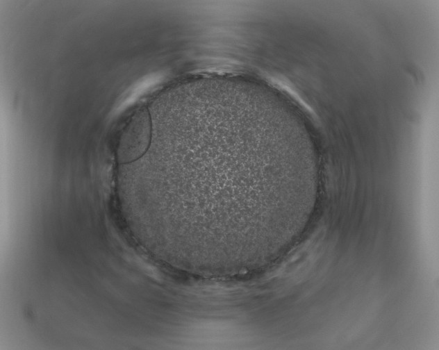 X0000114161399200910221558